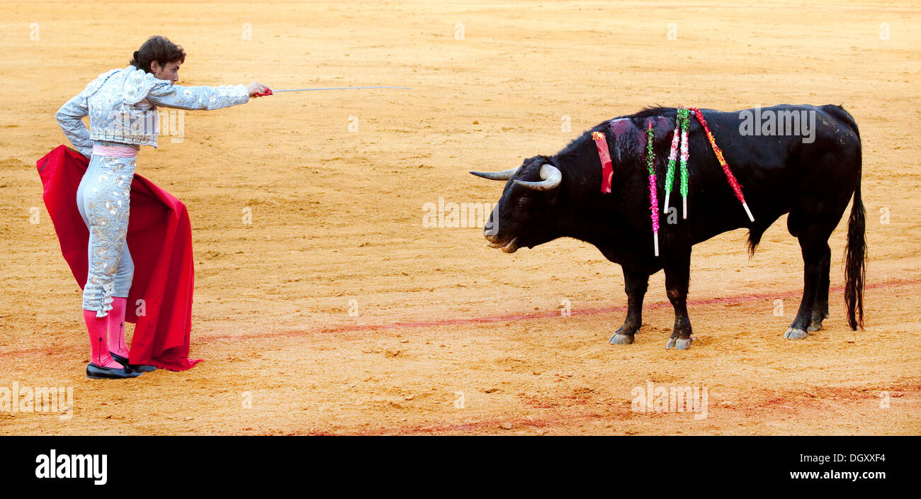 Torero, Matador mit Stier vor den tödlichen Schlag mit seinem Rapier, Plaza de Toros De La Maestranza Stierkampfarena, Sevilla, Andalusien Stockfoto