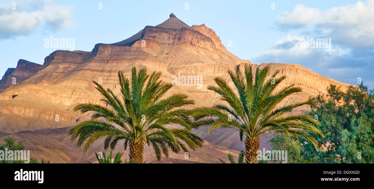 Djebel Kissane Tafelberg mit Palmen in der Draa-Tal, Agdz, Marokko, Afrika Stockfoto