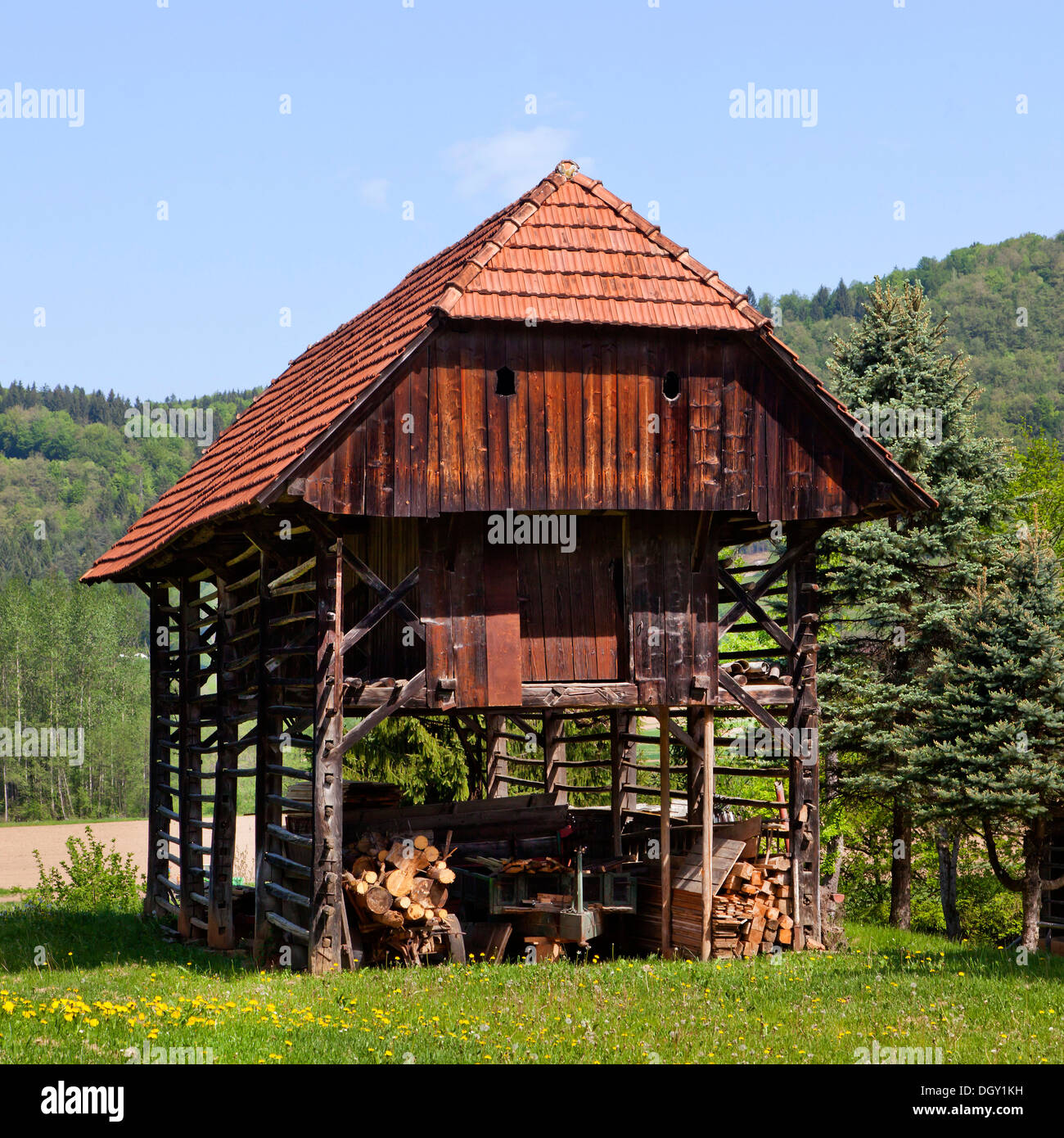 Geschindelte, typisch slowenischen Scheune, doppelte Scheune zum Trocknen von Heu in der Nähe von Krka, Slowenien, Europa Stockfoto