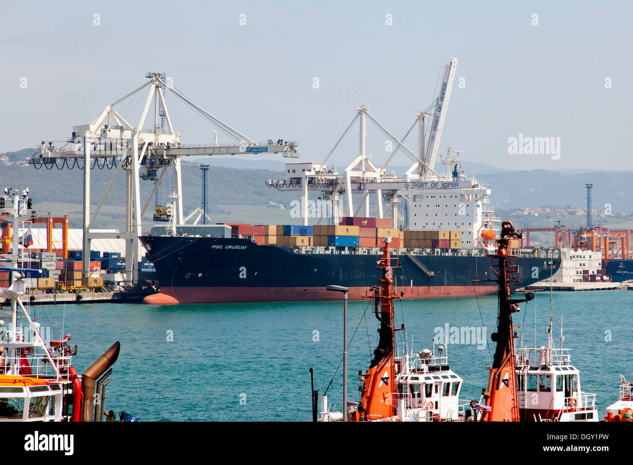 Frachtschiff, MSC Uruguay, im Hafen von Koper, Slowenien, Europa, Koper, slowenischen Küstenland, Slowenien entladen wird Stockfoto