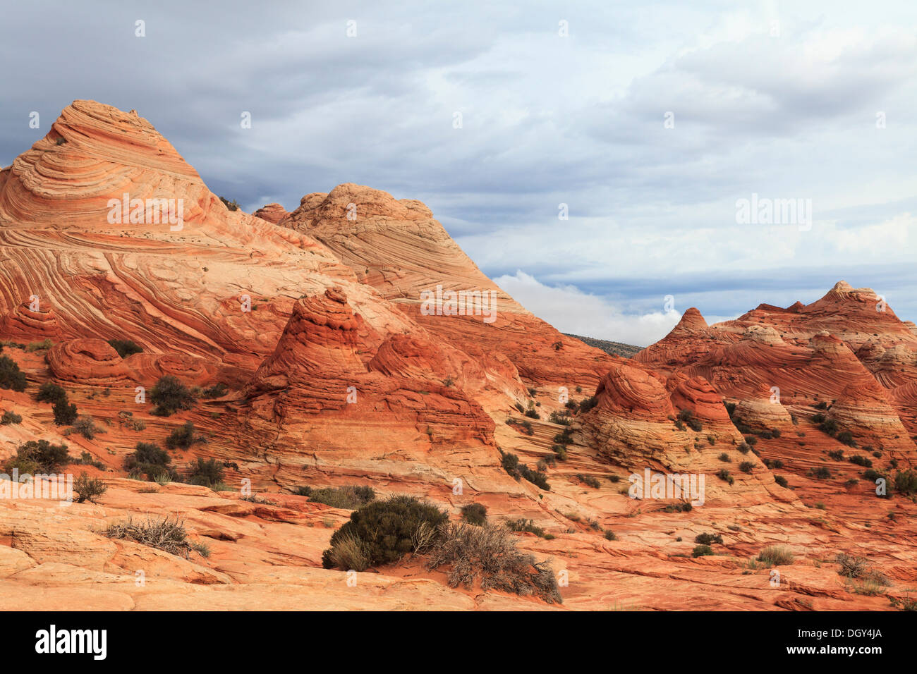 Landschaft der Coyote Buttes North, Arizona, USA Stockfoto