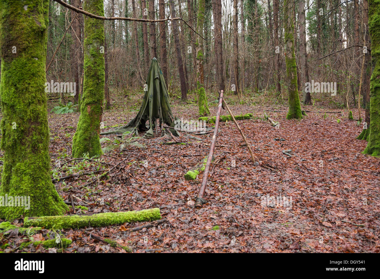 alten zerlumpten Canvas Zelt im Wald gelassen Stockfoto
