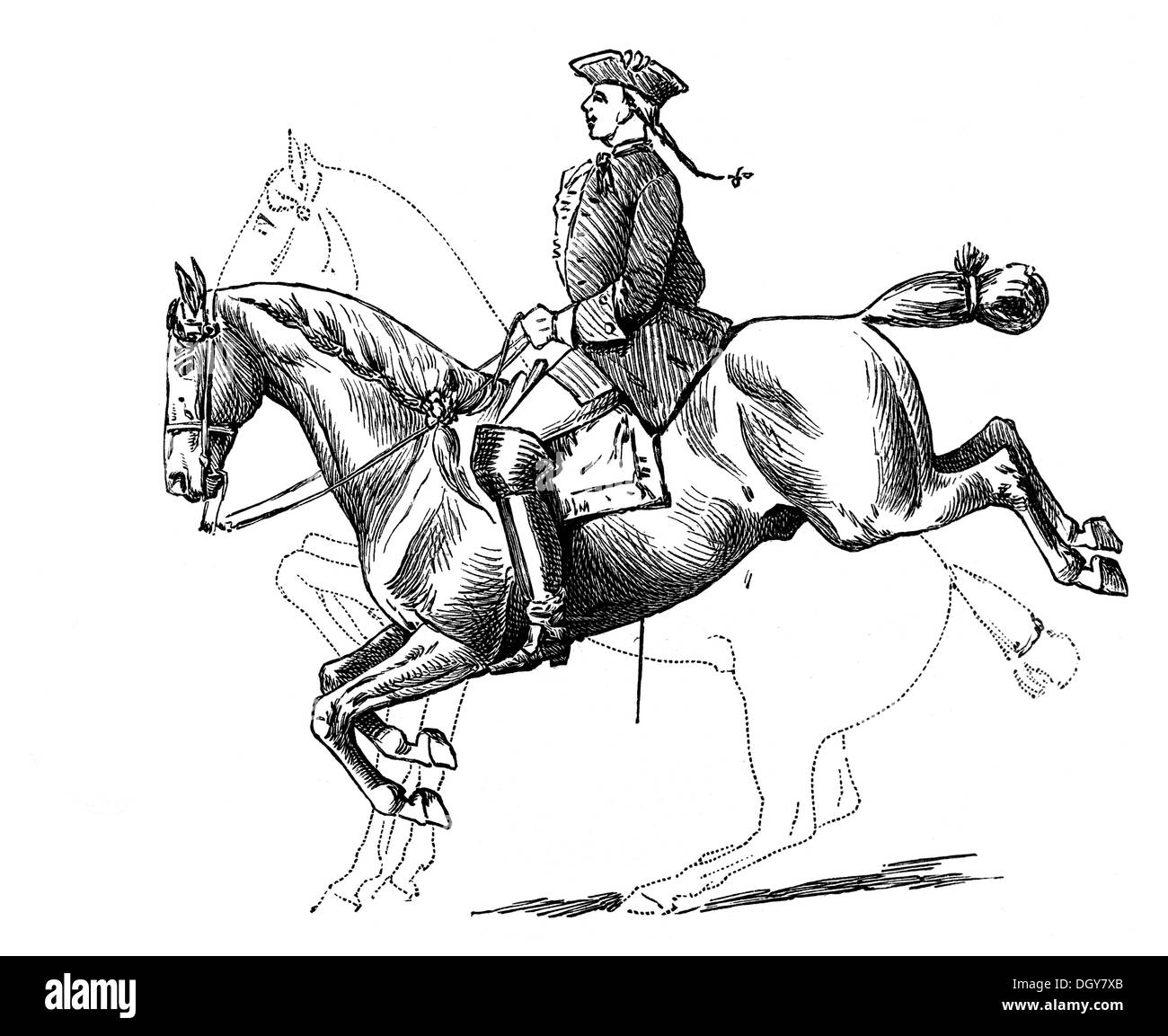 Capriole, die erste Position des Pferdes zu springen und immer wieder auf die Beine, Abbildung aus Meyers Lexikon, 1897 Stockfoto