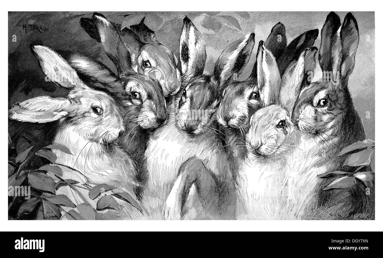 Herzlichen Glückwunsch, eine Abbildung von der Moderne Kunst in Meisterholzschnitten Jahrbuch, 1900 Stockfoto