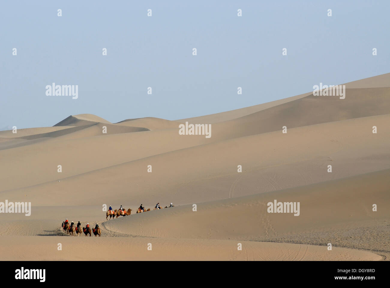 Kamel-Karawane mit Touristen vor den Sanddünen der Wüste Gobi während der Besteigung des Mount Aufstieg in der Nähe von Dunhuang Stockfoto