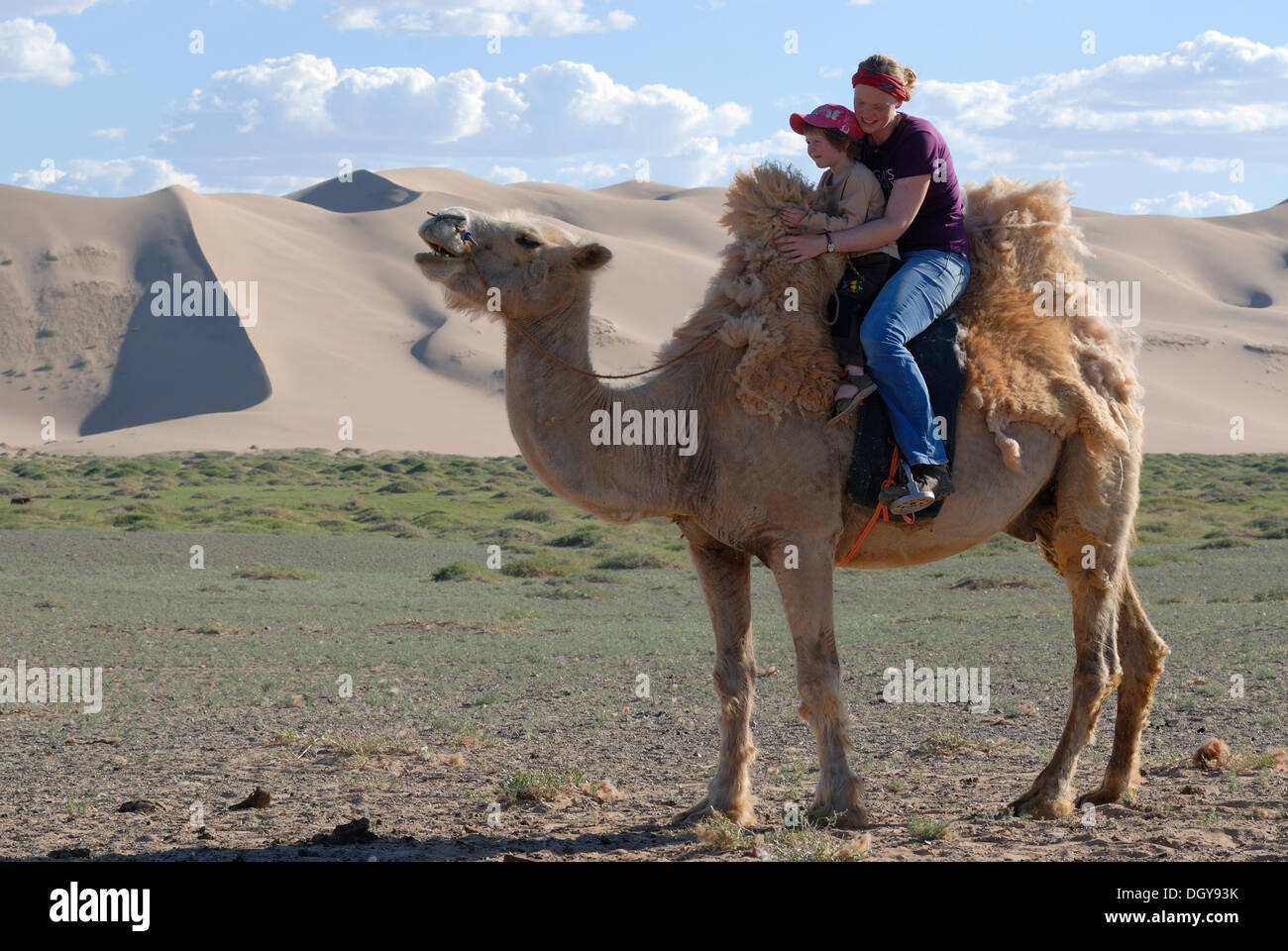 Junge Frau mit rotem Schal sitzt mit einem vier-Jahres-Mädchen auf einem weißen Kamel vor den großen Sanddünen Khorgoryn Els in der Stockfoto