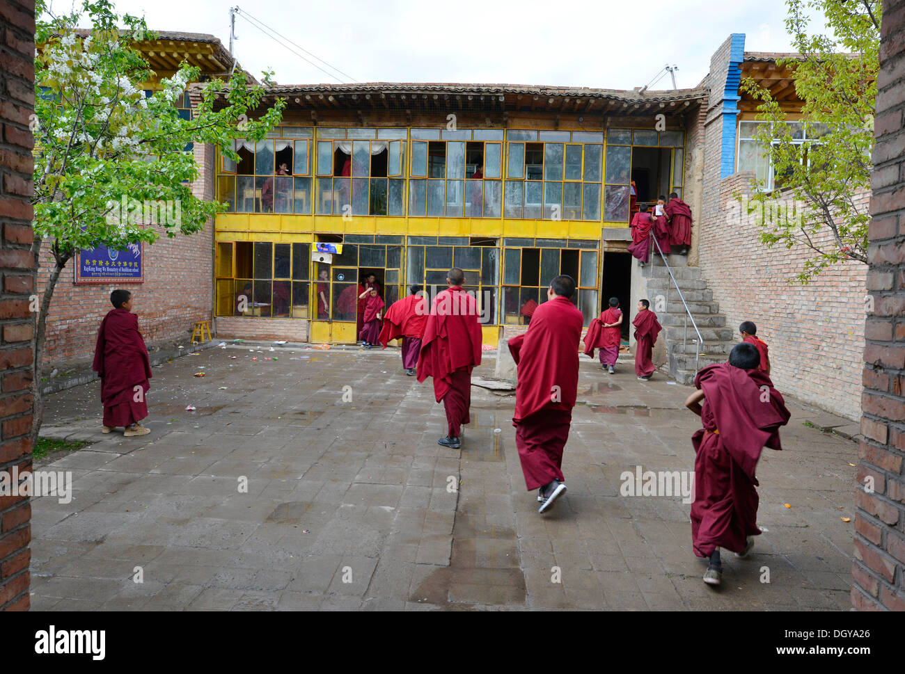 Jungen Novizen, Studenten an einer buddhistischen Klosterschule Klostergebäude im traditionellen Baustil Stockfoto