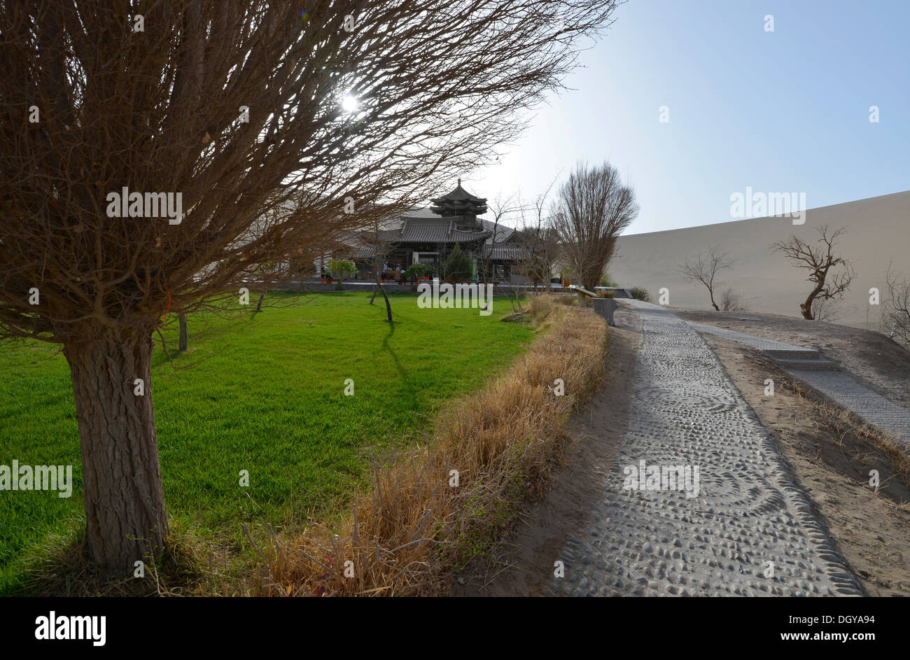 Grüne wüsten Fotos und Bildmaterial in hoher Auflösung Alamy