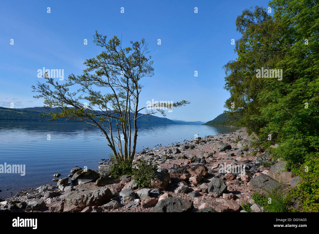 Weltberühmten Loch Ness, in der Nähe von Inverness, Schottland, Vereinigtes Königreich, Europa Stockfoto