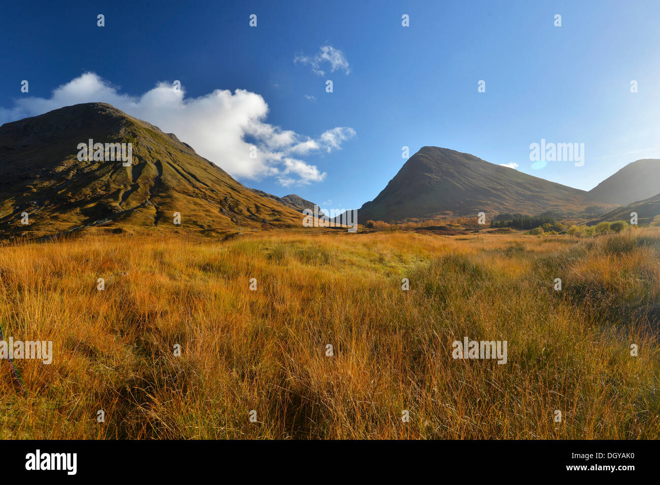 Herbst im Tal Glencoe, Schottisches Hochland, Schottland, Vereinigtes Königreich, Europa Stockfoto