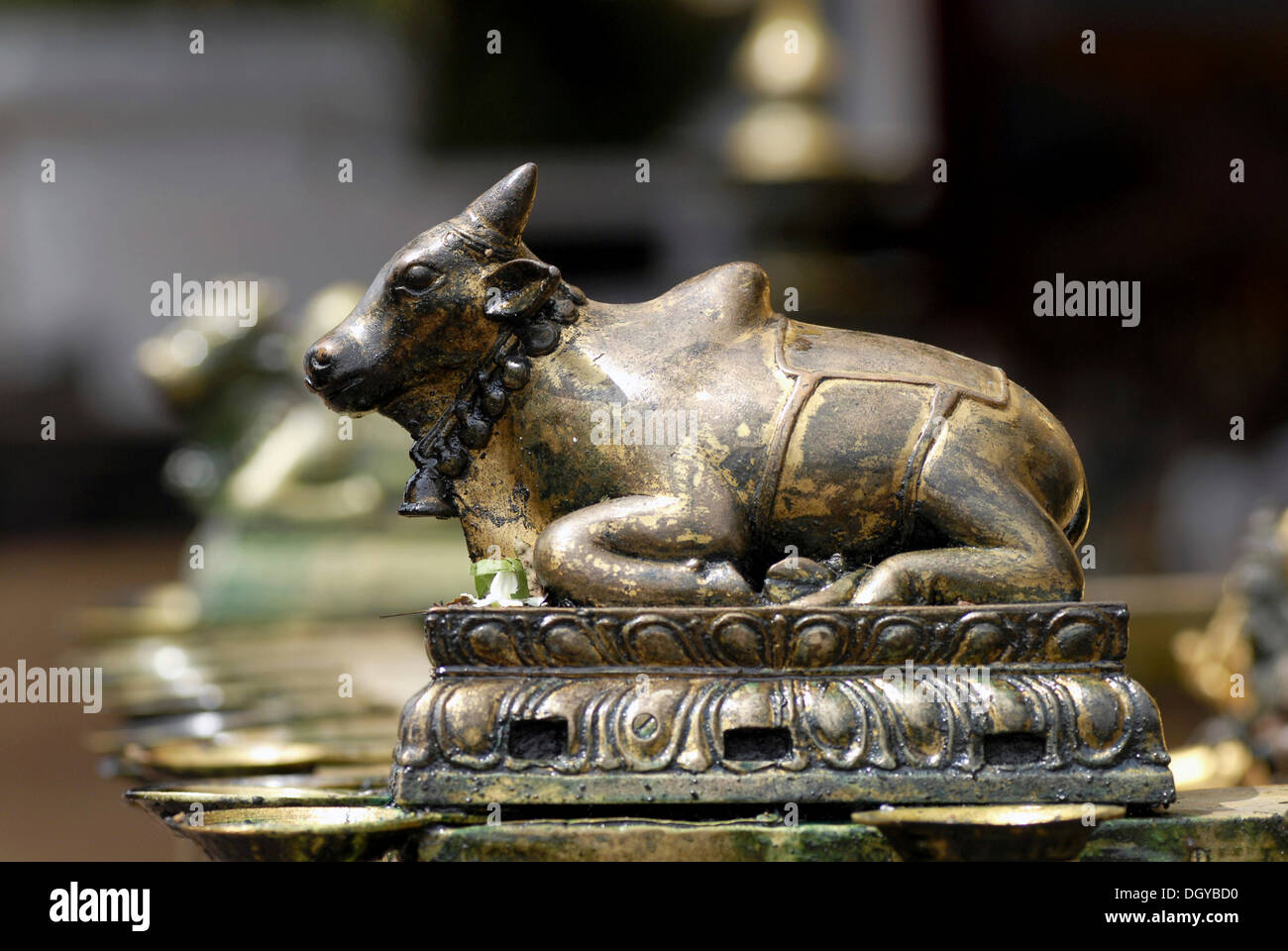 Skulptur, der Stier Nandi, Berg des Gottes Shiva, Ettumanoor Mahadevar Tempel, Kerala, Südindien, Indien, Asien Stockfoto