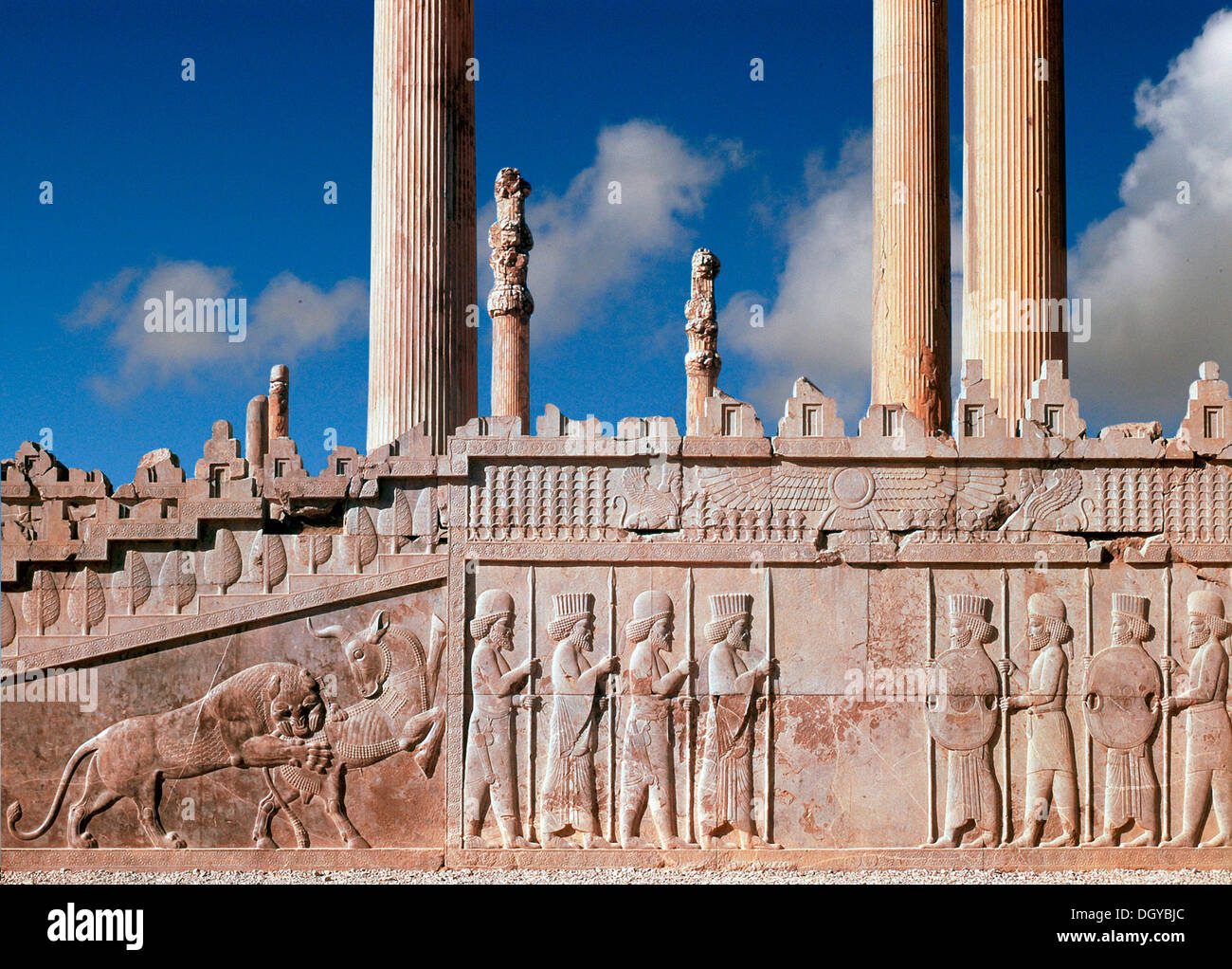 5713. Persepolis, Iran. Überreste von König Darius I. Audienzsaal Darstellung der königlichen Garde und einer Jagdszene. 6.. C. BC. Stockfoto