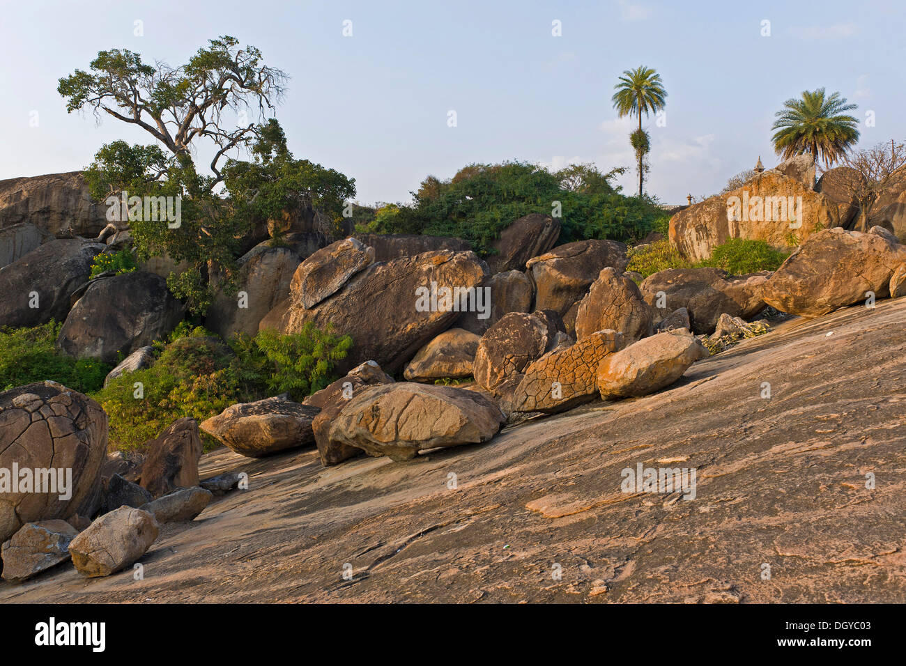 Auf dem Chandragiri-Hügel, Sravanabelagola, Hassan district, Karnataka, Südindien, Indien, Asien Stockfoto