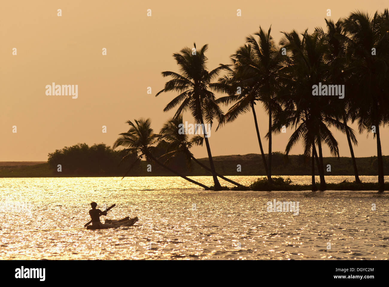 Boot auf den Backwaters, Poovar, Malabar-Küste, Kerala, Südindien, Indien, Asien Stockfoto