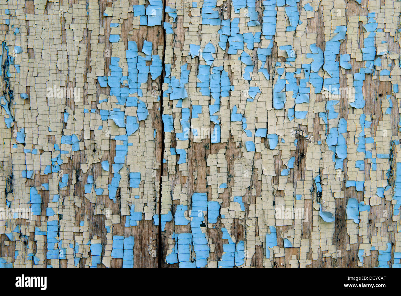 Abblätternde Farbe auf Holz, Cache Creek, British Columbia, Kanada, Nordamerika Stockfoto
