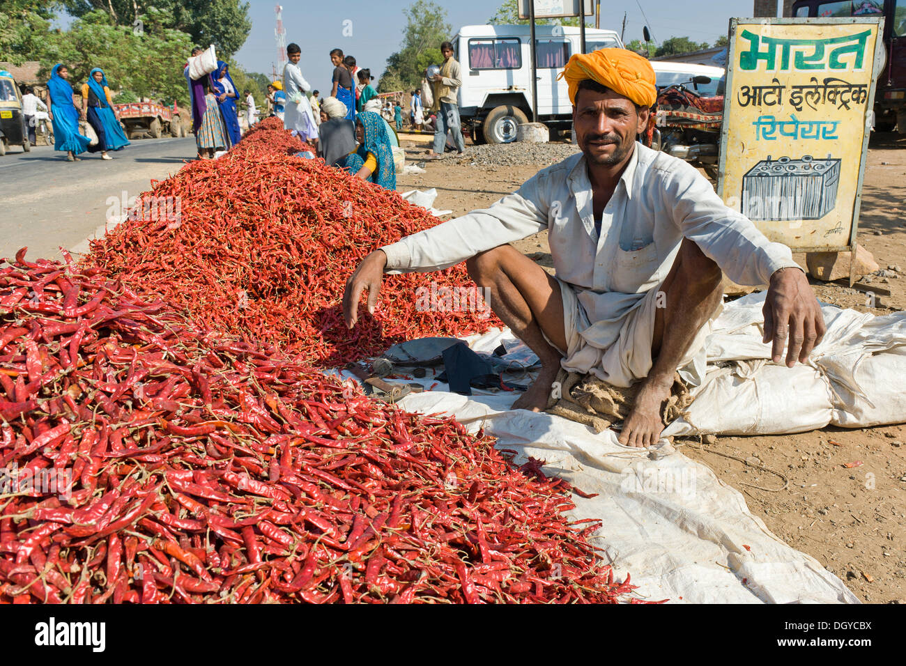 Mann mit Chilis, Chilischoten, Jhalawar, Rajasthan, Indien, Indien, Nordasien Stockfoto