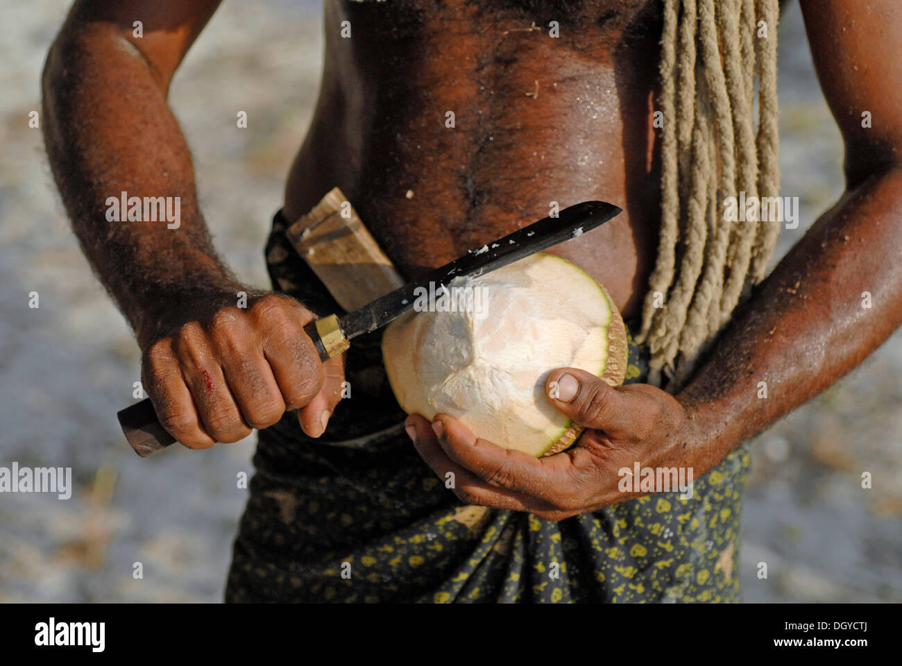Man schneidet eine Kokosnuss, Bangaram Island, Lakkadiven, Lakshadweep, Arabisches Meer, Süd-Indien, Asien Stockfoto