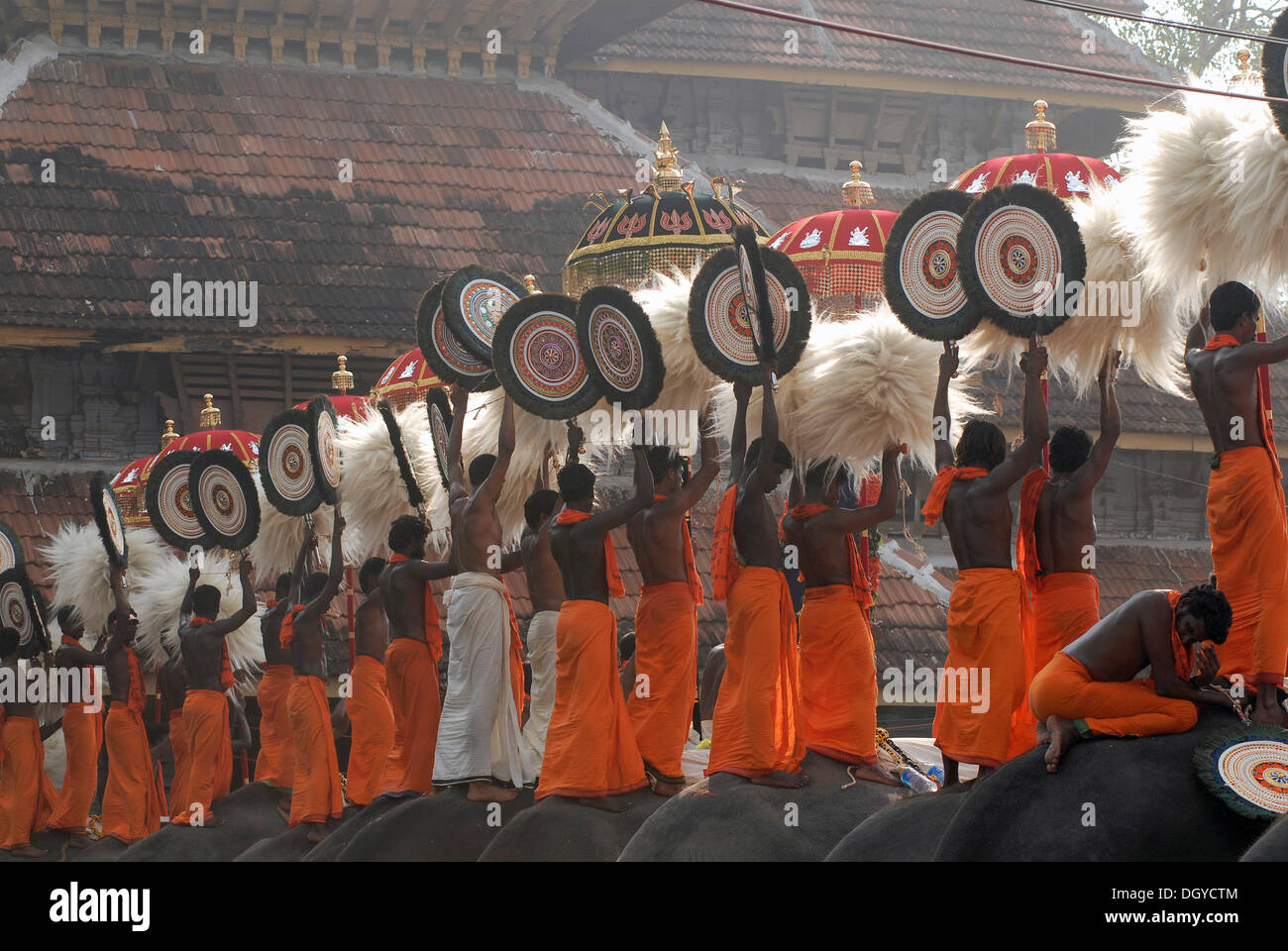 Pujaris stehen auf dem Rücken der Elefanten halten Fans gebildet von Pfauenfedern in der Luft, Hindu Pooram Festivals, Thrissur Stockfoto