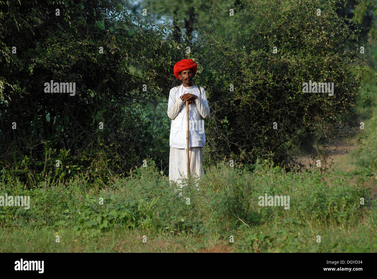 Kamel Hirte mit einem roten Turban, in der Nähe von Mount Abu, Rajasthan, Nordindien, Indien, Asien Stockfoto