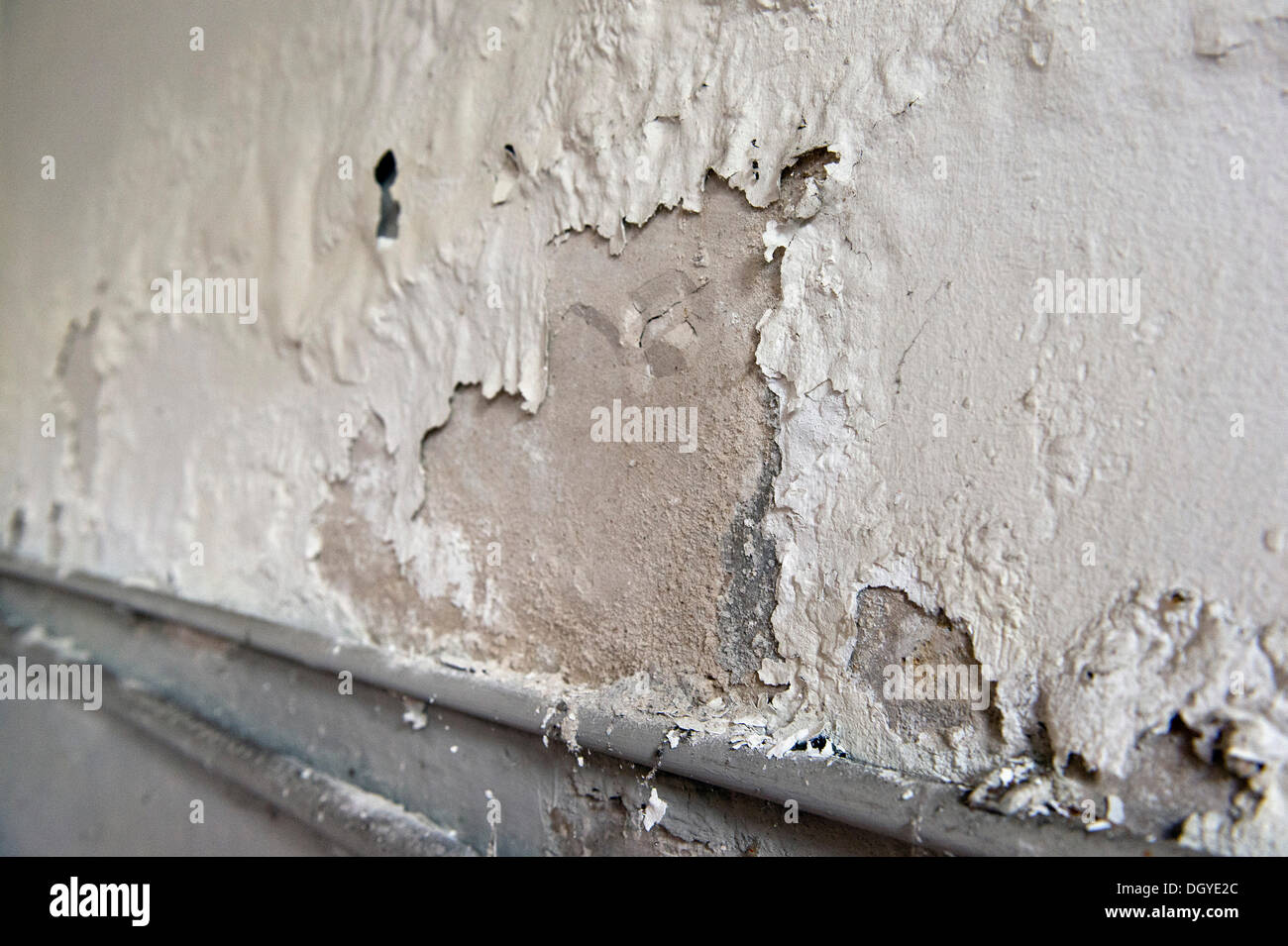 Salpeter oder Salpeter im Mauerwerk aus eindringende Feuchtigkeit von außen, abblätternde Kalk, Stuttgart, Baden-Württemberg Stockfoto