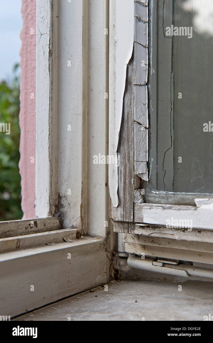 Alte Holzfenster beschädigt durch Verwitterung, abblätternde Farbe, Stuttgart, Baden-Württemberg Stockfoto