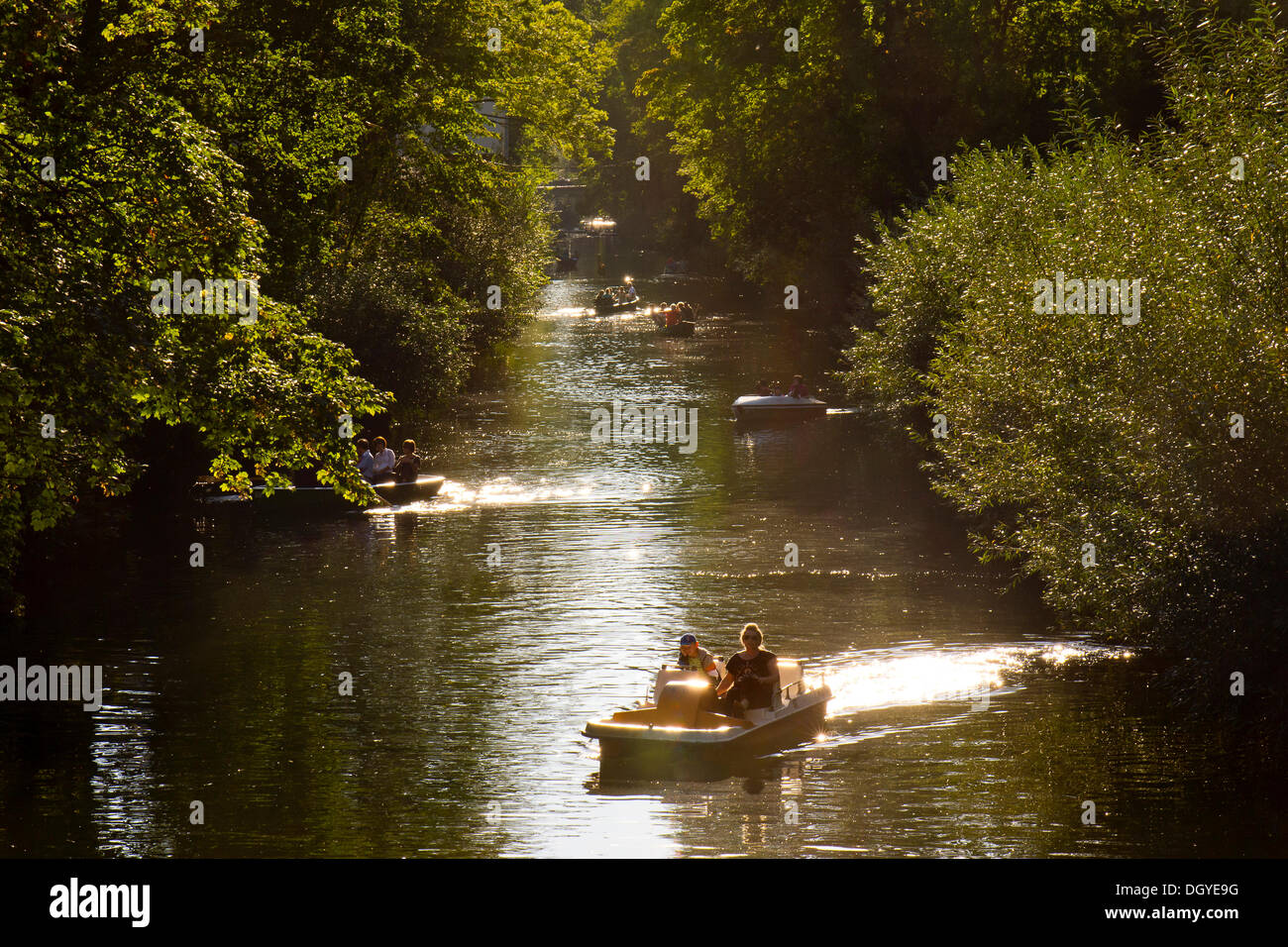 Tretboot, schwimmend auf dem Neckar, Tübingen, Baden-Württemberg Stockfoto