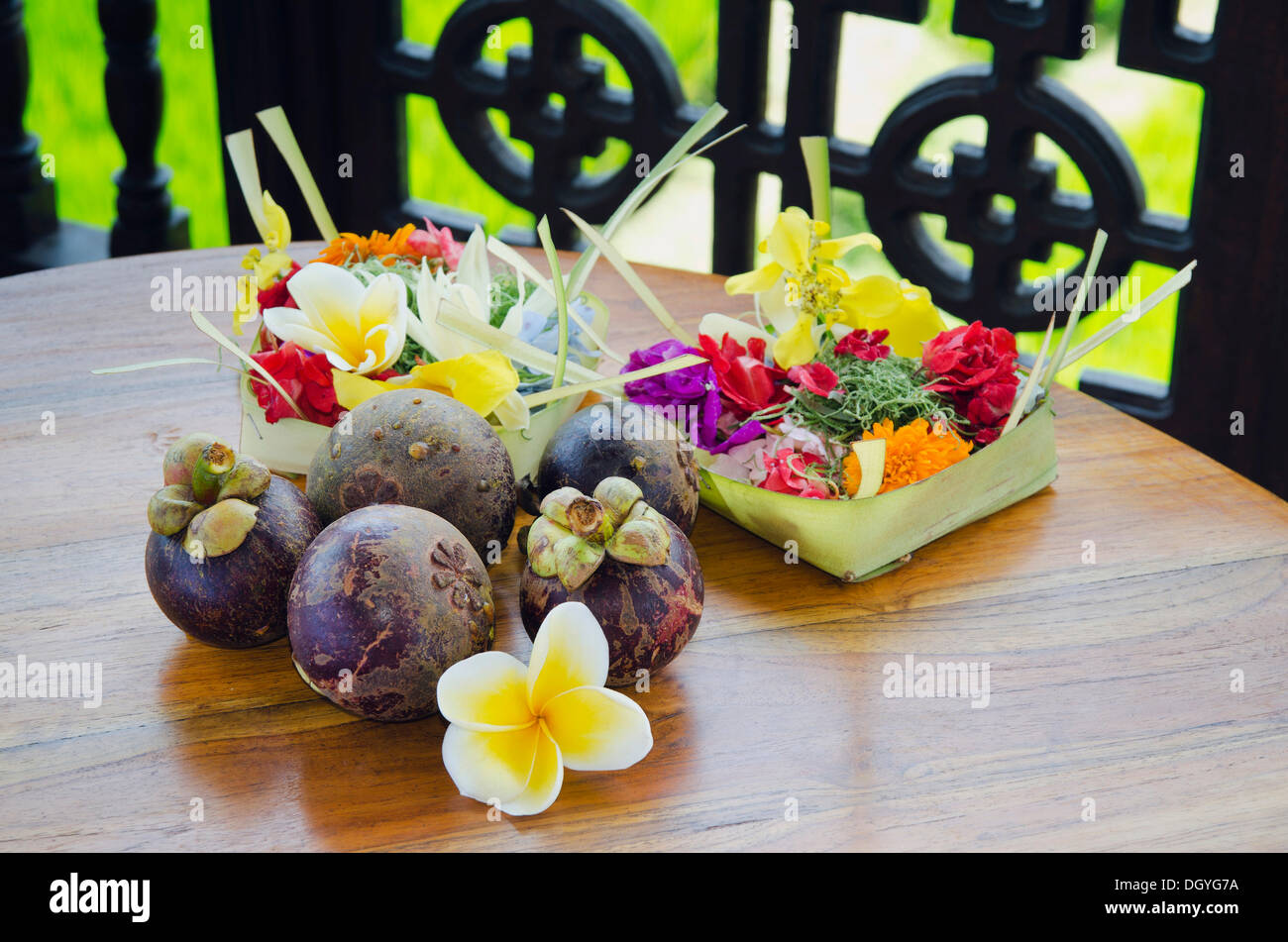 Lila Mangostan Früchte (Garcinia Mangostana) mit Frangipani-Blüten, Ubud, Bali, Indonesien Stockfoto