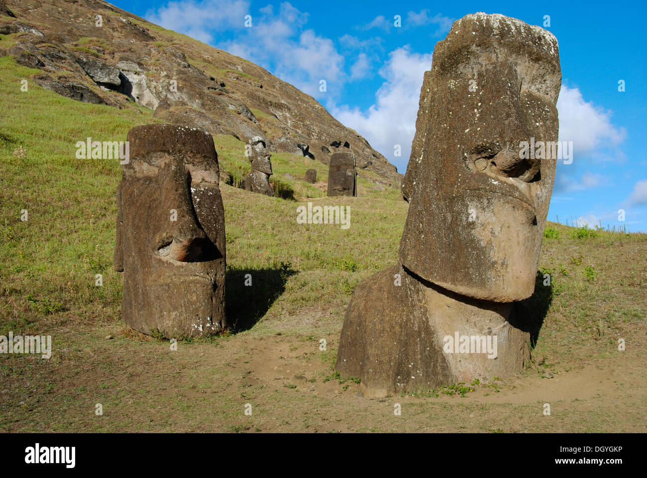Moai in Rano Raraku, den Steinbruch wo die Moais wurden geschnitzt, Osterinsel, Rapa Nui, Pazifik Stockfoto