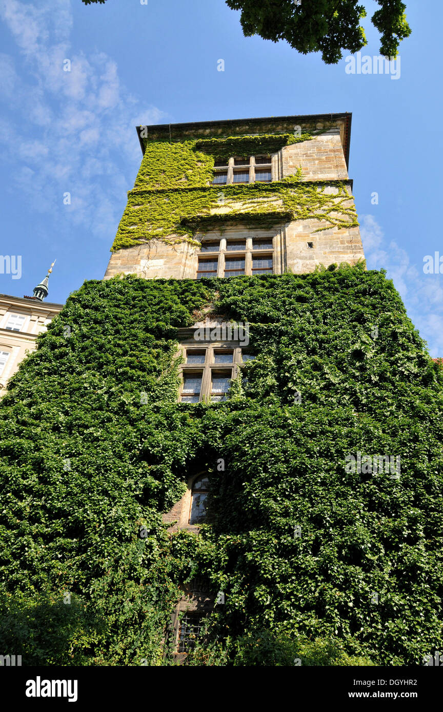 Der Prager Fenstersturz, Paradise garden, Hradschin, Altstadt, Prag, Tschechische Republik, Europa Stockfoto