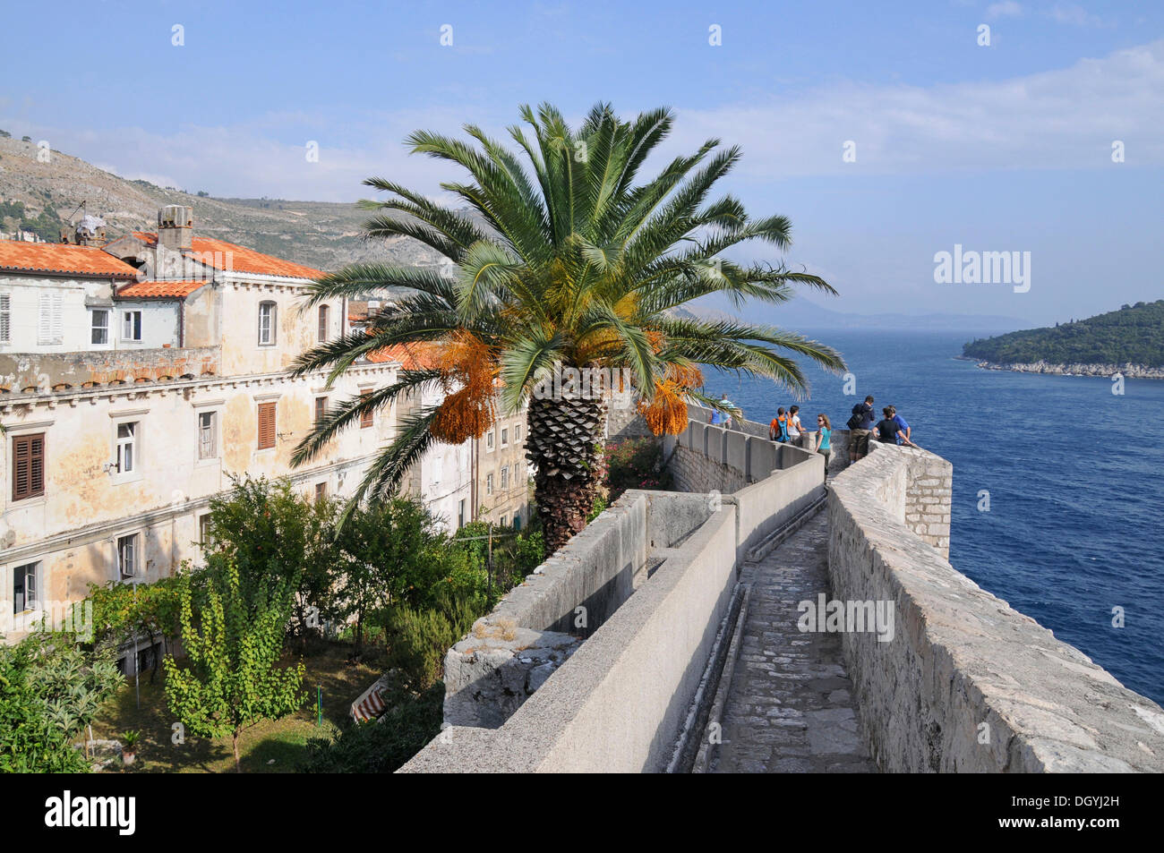 Stadtmauer spazieren, Innenhof, Palm, historische Stadt, Dubrovnik, Kroatien, Europa Stockfoto