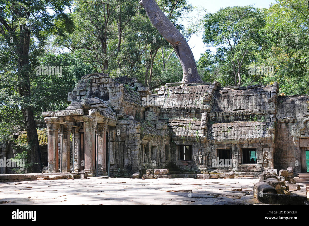 Ta Prohm Tempel Komplex, Angkor, Siem Reap, Kambodscha, Südostasien Stockfoto