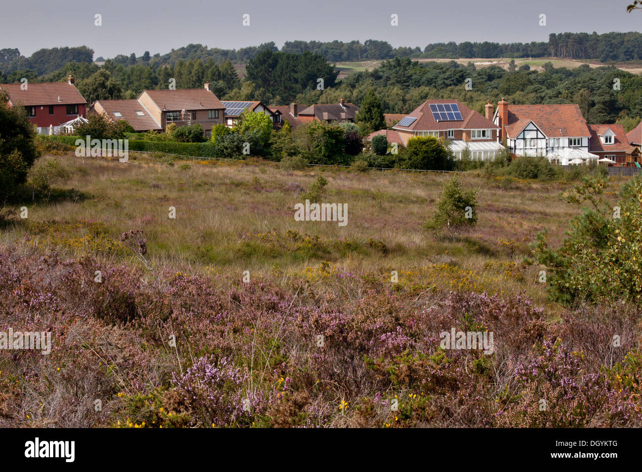 Wohnsiedlung entlang der Kante des international bedeutenden Heide, Dunyeats Hill, Poole Becken, Dorset. Stockfoto