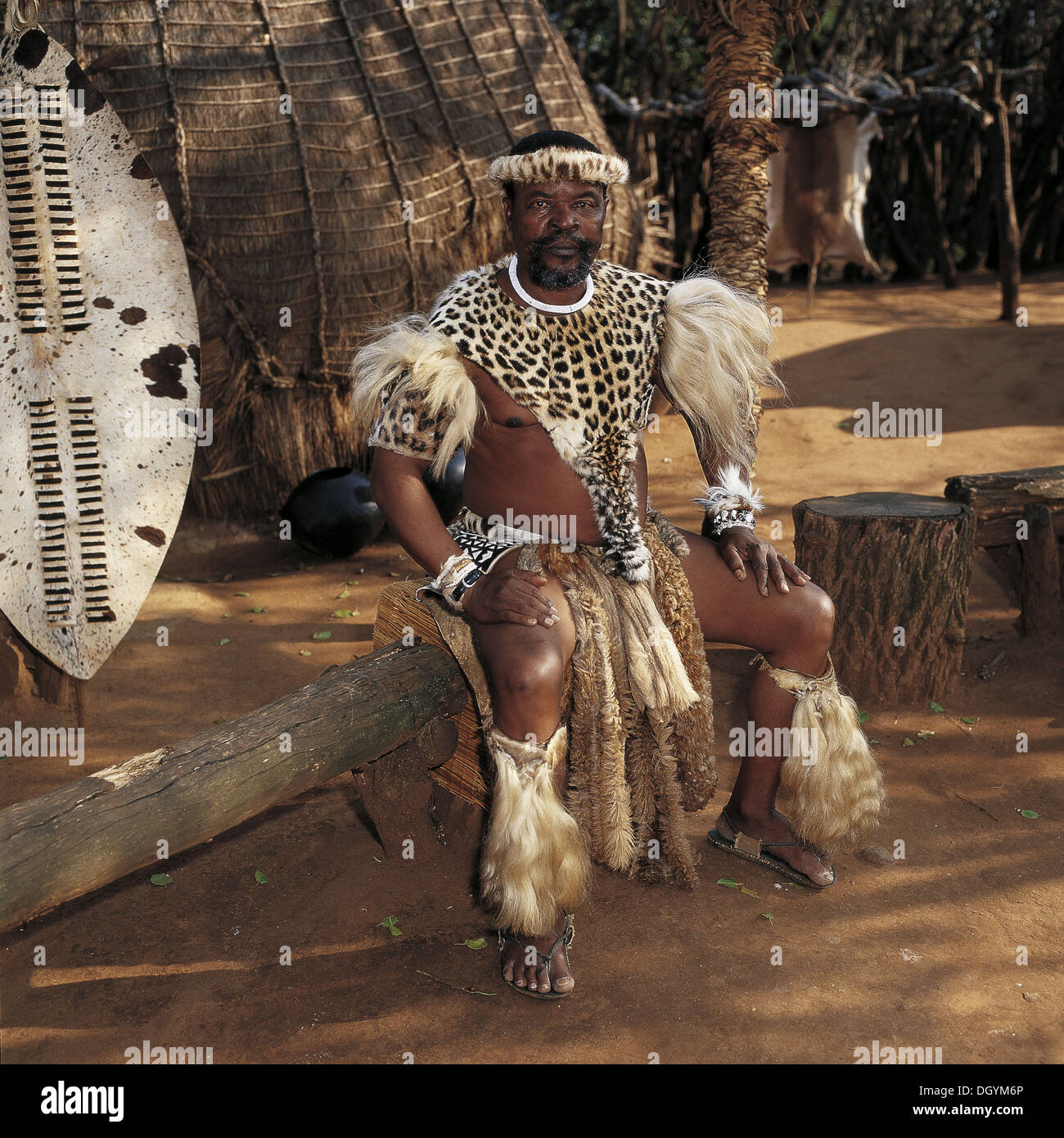 Ein Zulu Häuptling Damazulu Cultural Village Stockfotografie Alamy