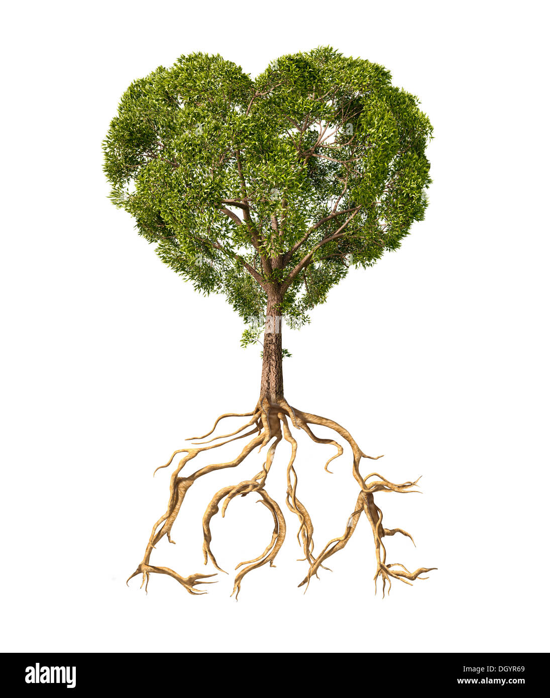 Baum mit Laub mit der Form eines Herzens und Wurzeln als Text Liebe. Auf weißem Hintergrund. Stockfoto