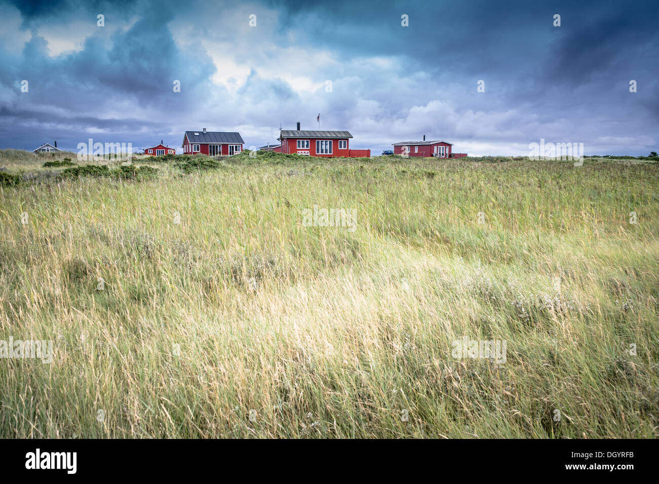 Skandinavische Sommerhütten bei stürmischem Wetter Stockfoto