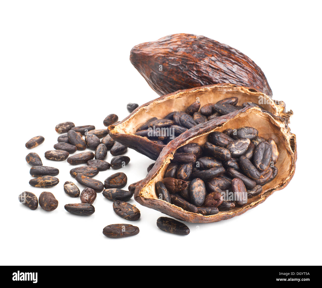 Kakaofrucht und Bohnen isoliert auf weißem Hintergrund Stockfoto