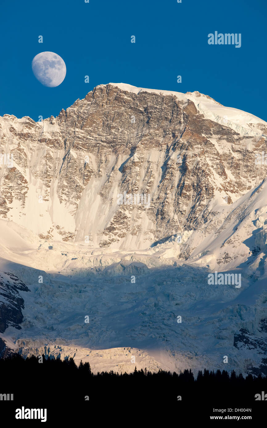 Mond über Berg Jungfrau, Berner Oberland, Schweiz, Europa Stockfoto