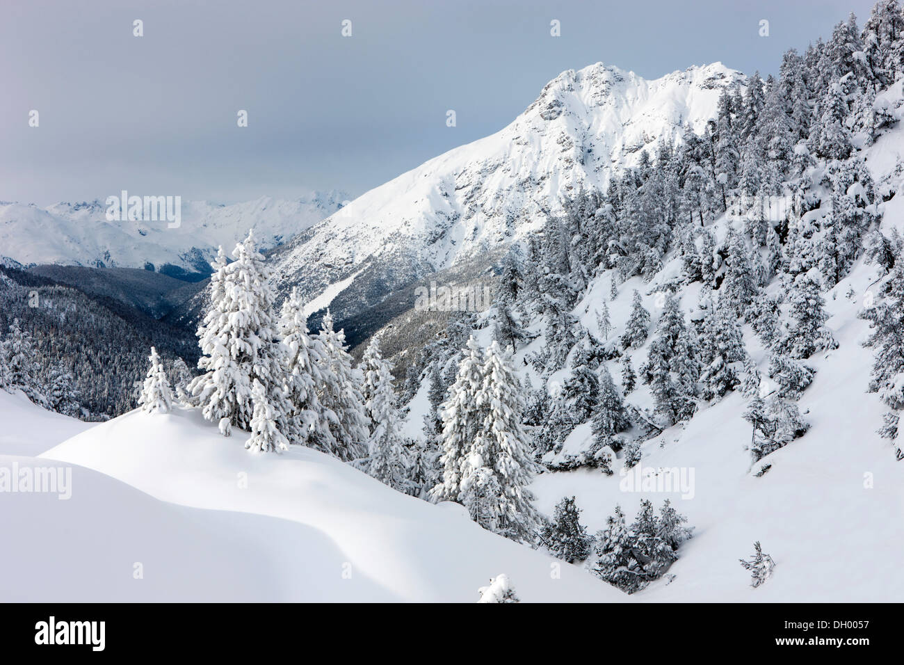 Winter Landschaft, Ofenpass, Nationalpark, Graubünden, Schweiz, Europa Stockfoto