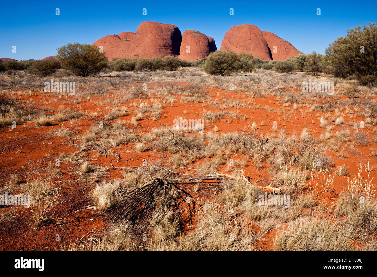 Olgas oder Katja Tjuta, Uluru-Kata Tjuta National Park, Northern Territory, Australien Stockfoto
