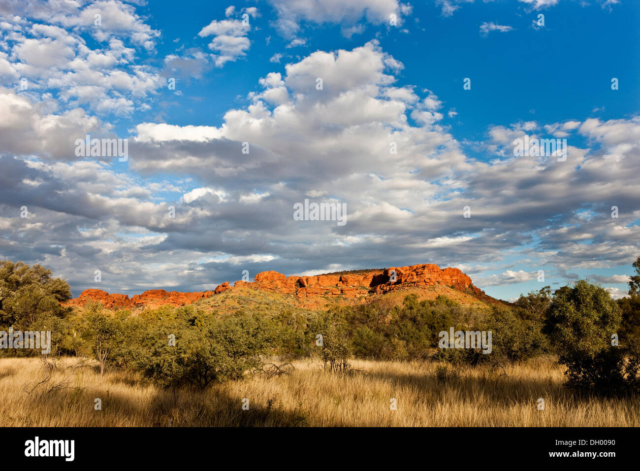 Watarrka National Park, Northern Territory, Australien Stockfoto