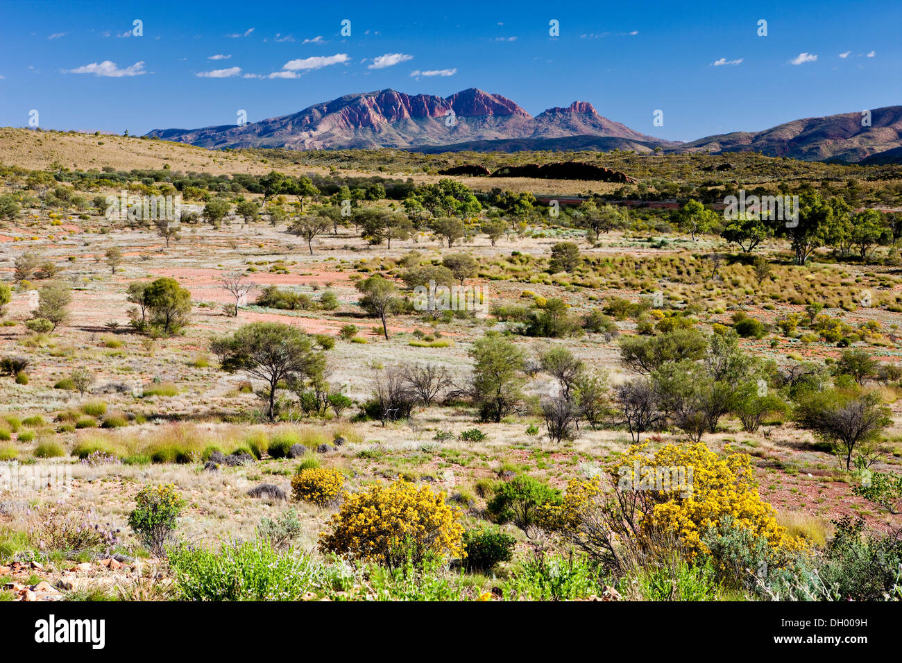 Mt. Sonder, West MacDonnell-Nationalpark, Northern Territory, Australien Stockfoto