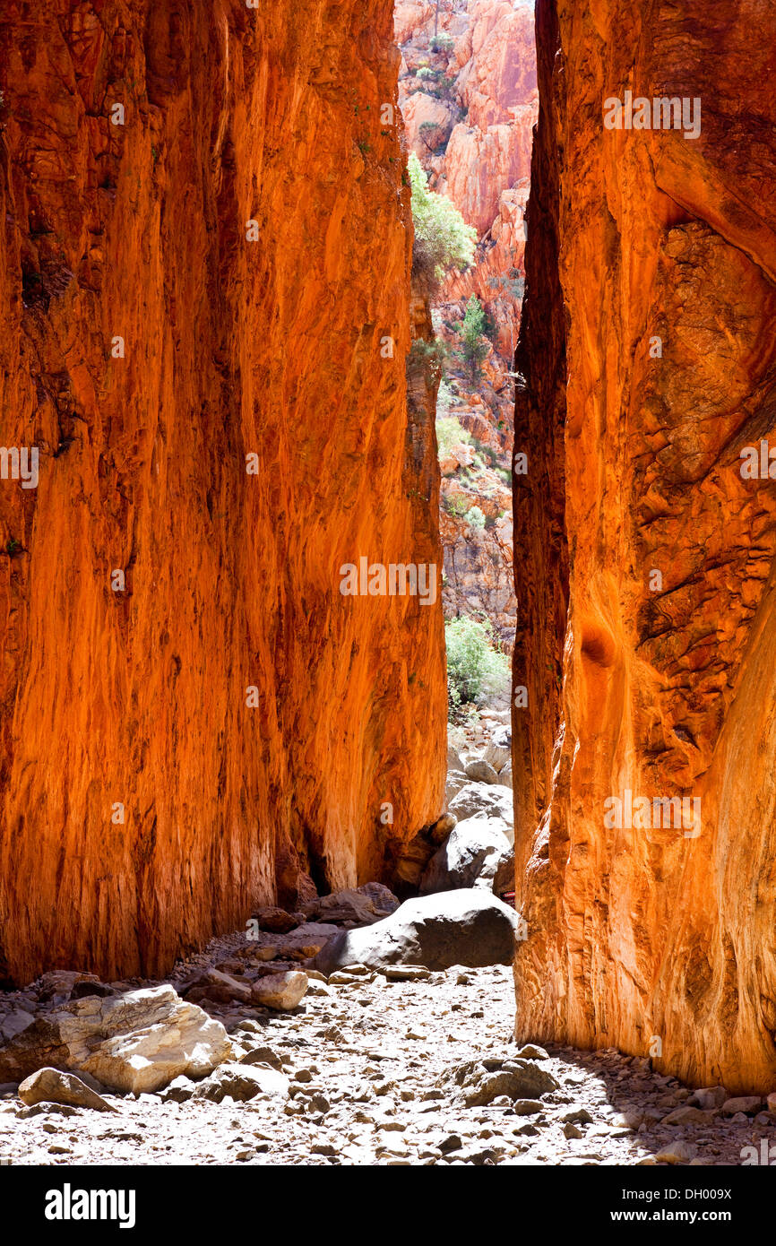 Standley Chasm in den West MacDonnell National Park, Northern Territory, Australien Stockfoto