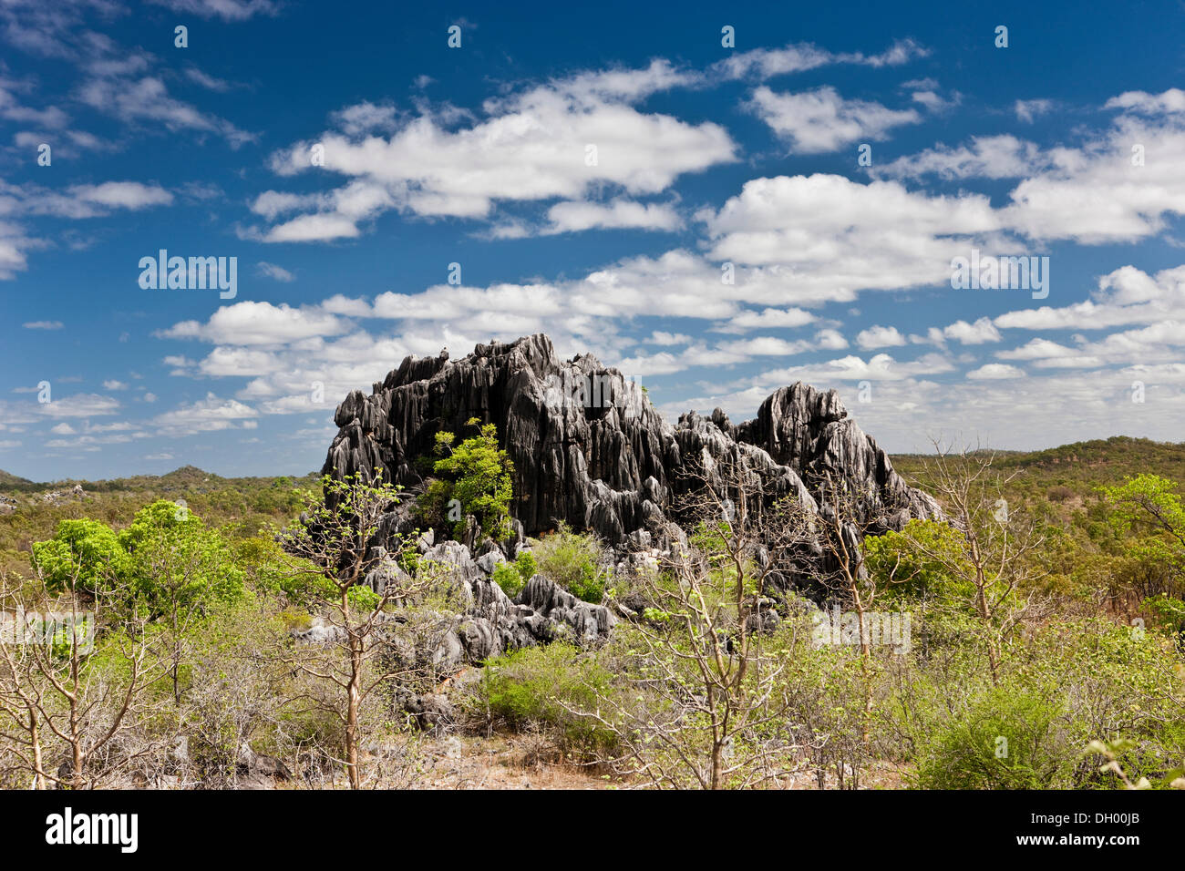 Chillagoe-Mungana-Höhlen-Nationalpark, Queensland, Australien Stockfoto