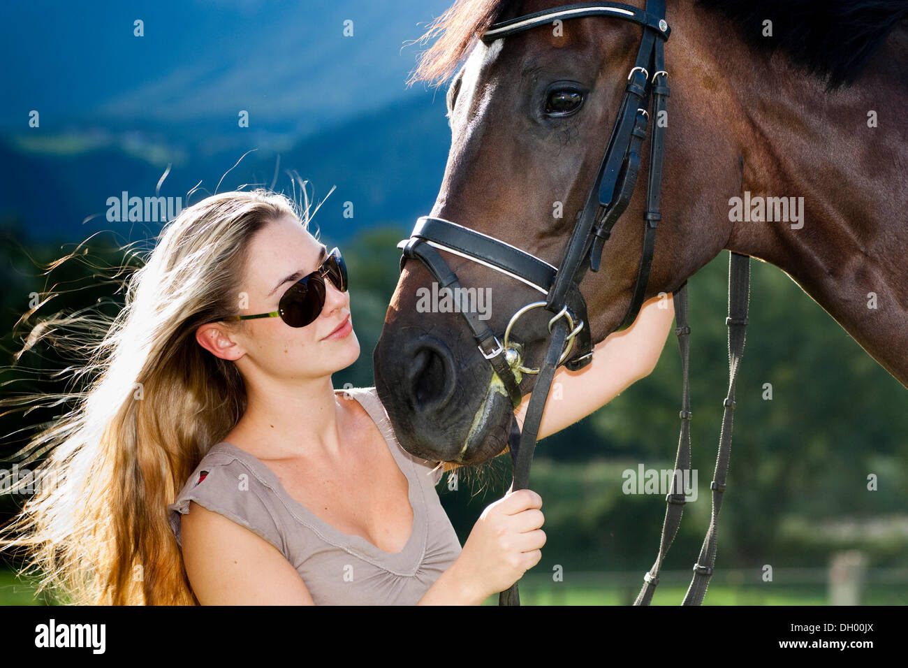 Junge Frau mit Sonnenbrille kuscheln mit einem Pferd, Hannoveraner, Bucht,  Nord-Tirol, Austria, Europe Stockfotografie - Alamy