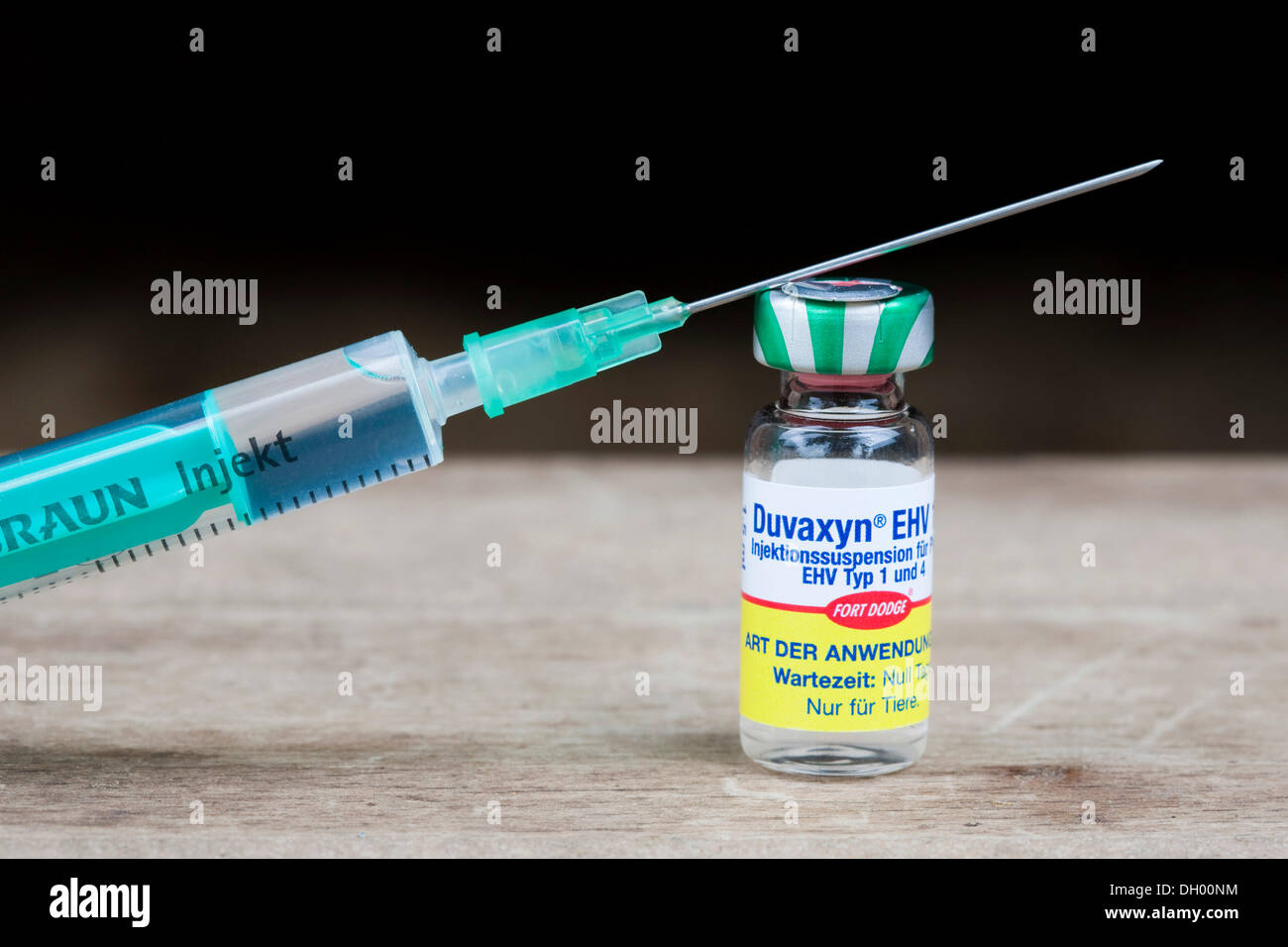 Herpes-Impfstoff für Pferde, Flasche Serum und eine Injektionsnadel Stockfoto