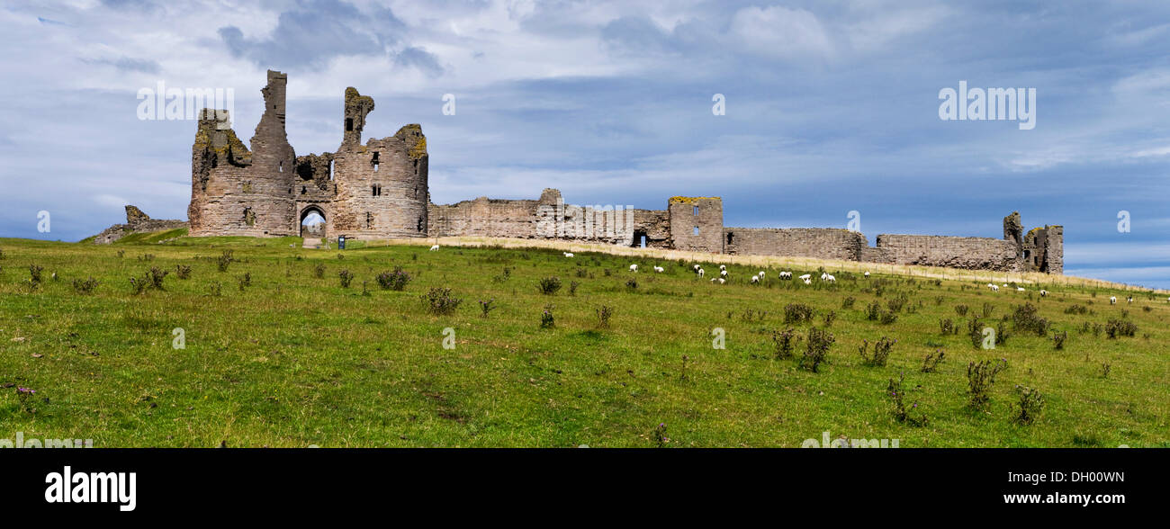 Dunstanburgh Castle, Northumberland, England, Vereinigtes Königreich Stockfoto