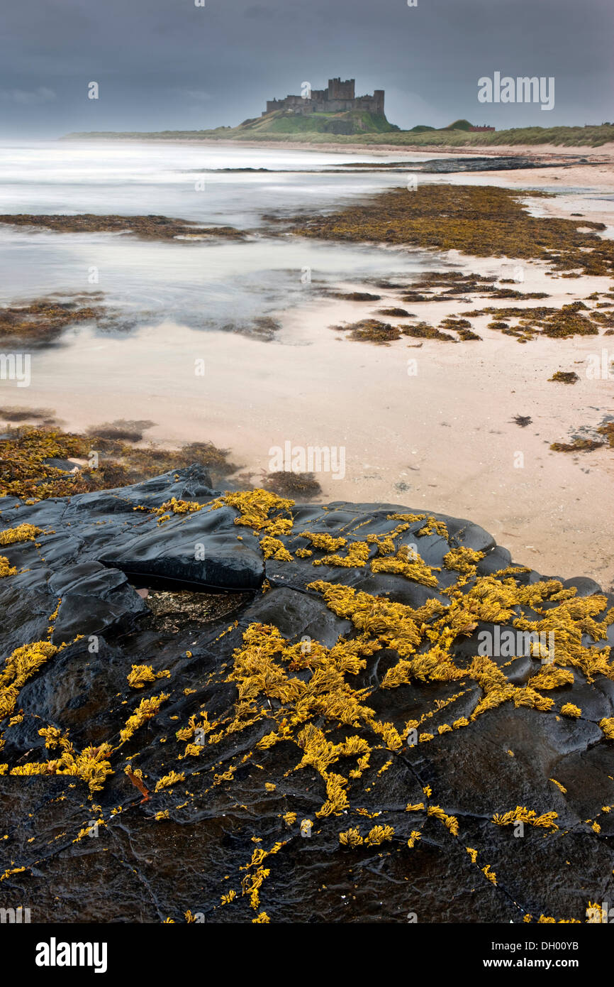 Bamburgh Castle während eines Sturms, Bamburgh, Northumberland, England, Vereinigtes Königreich Stockfoto