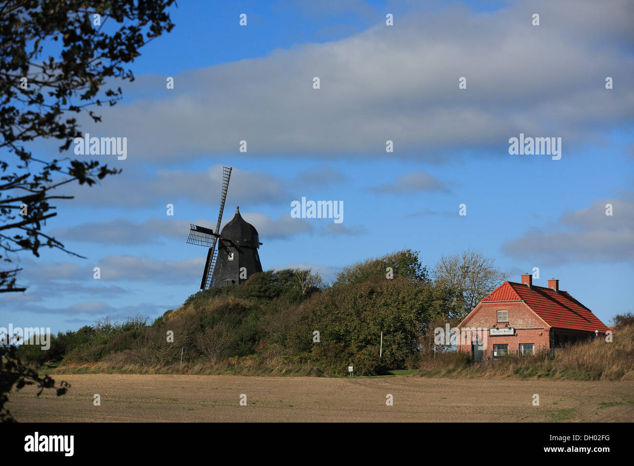 Windmühle in der Nähe von Børglum Abbey, Nord-Jütland, Dänemark, Europa Stockfoto
