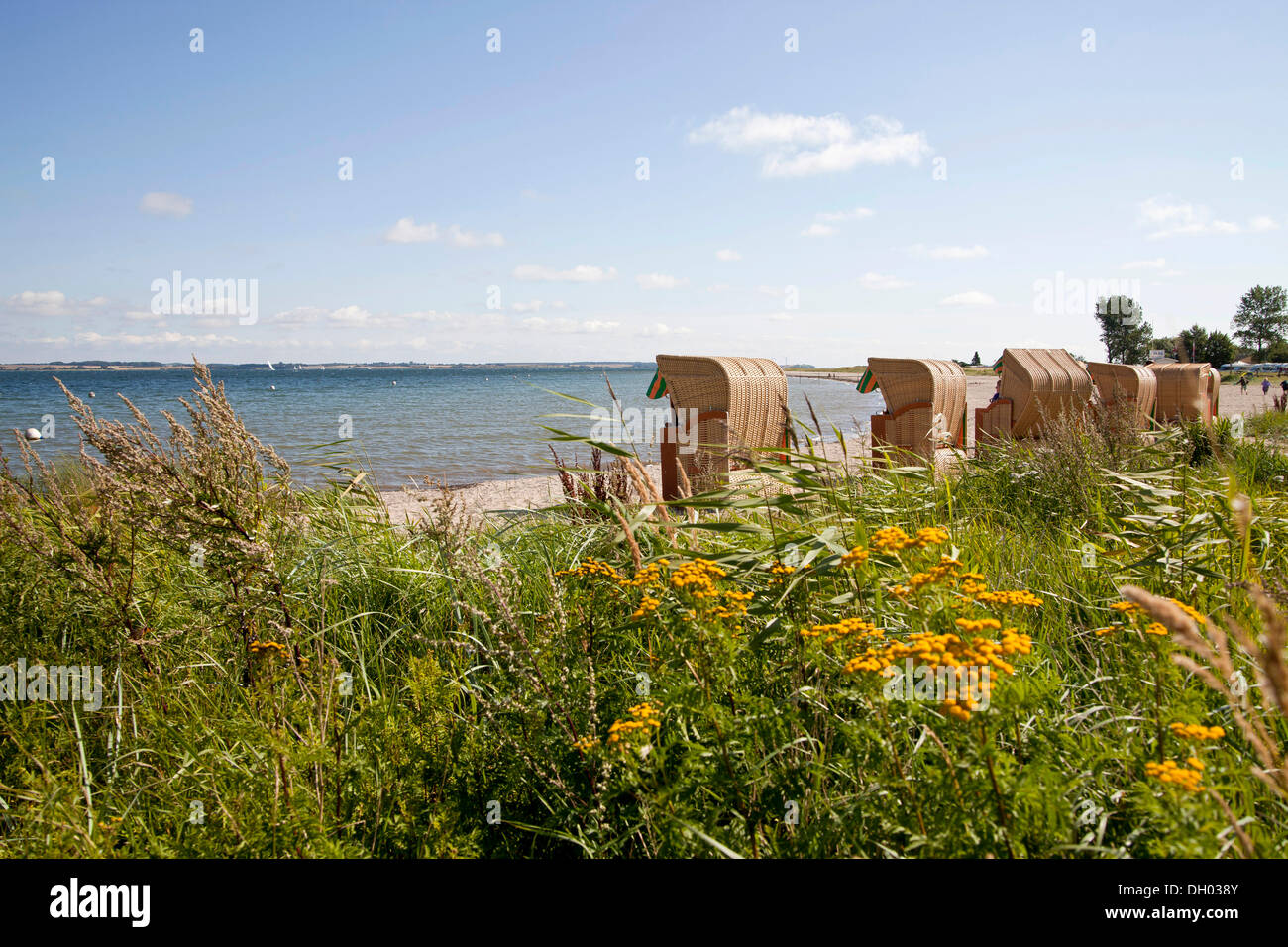 Überdachten Korbsessel Strand und die Ostsee in der Nähe von Langballigau in Schleswig-Holstein Stockfoto
