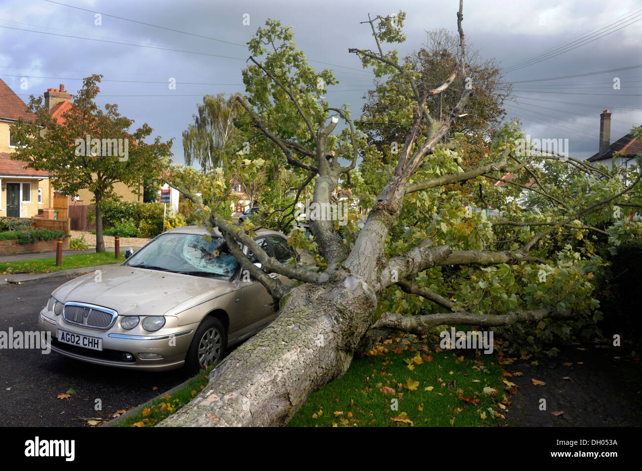 Eine s-Bahn-Straße mit dem Auto zerquetscht unter einem umgestürzten Baum, nachdem "St Judes Storm" über Nacht orkanartigen Winden erstellt Stockfoto